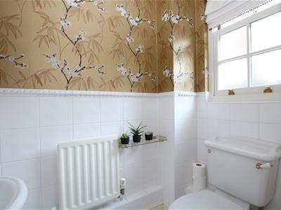 Picture 14